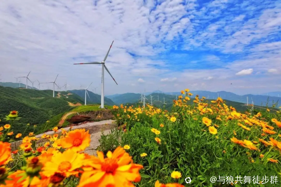 截图202405222342329845.png