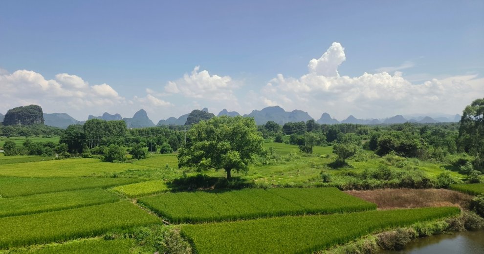 從桂林到柳州，坐動(dòng)車(chē)隨手拍，張張都是山水大片