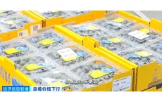 价格跳水！&ldquo;蓝莓自由&rdquo;要来了