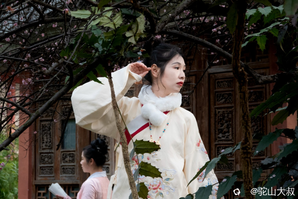 DSC05864-0_副本.jpg