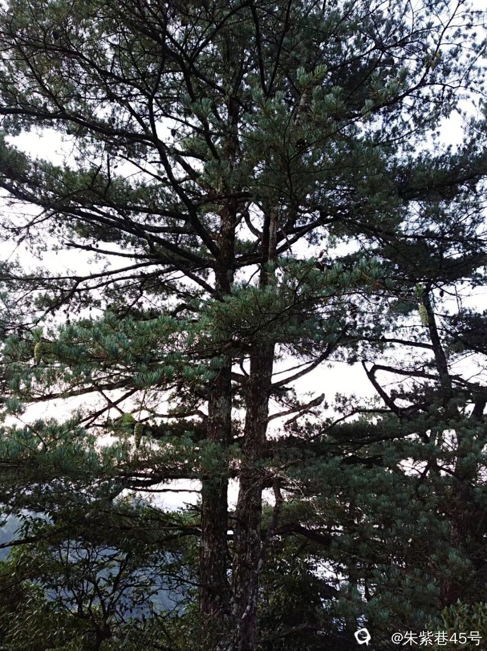 Image_1725222759903.jpg