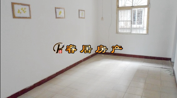 Z ÿ�����棡����ɽѧ��Ͷ�������� 96�� ��װ 1��1�� ���� 26��