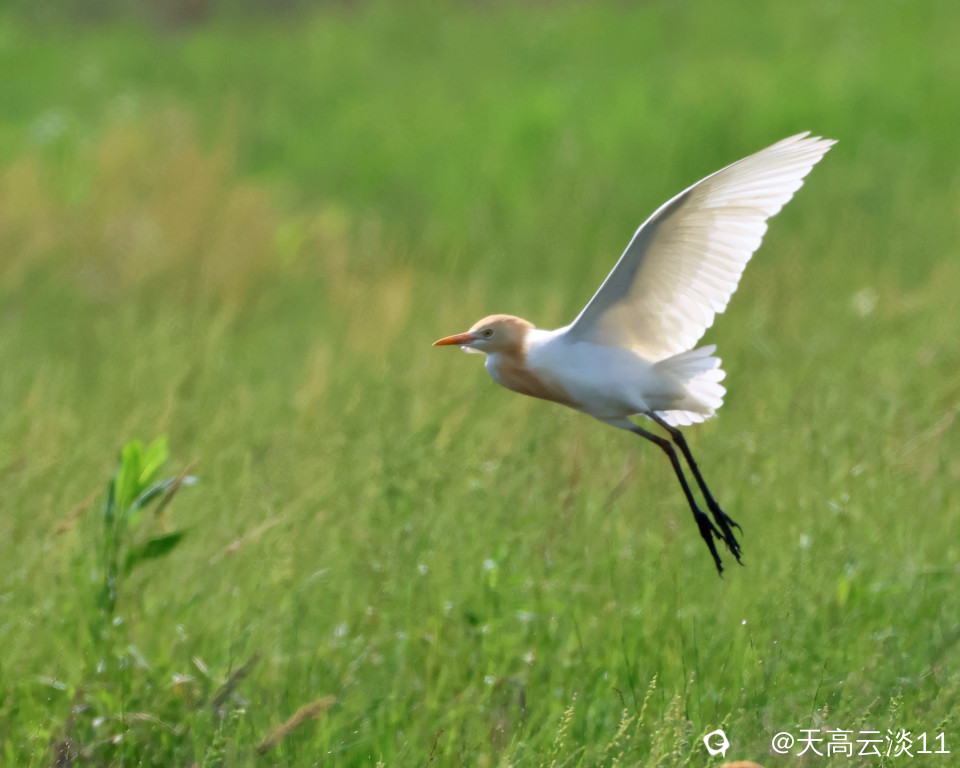 5D2A5807_副本.jpg