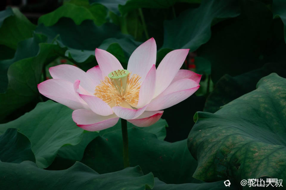 DSC07378-0 - 副本.jpg