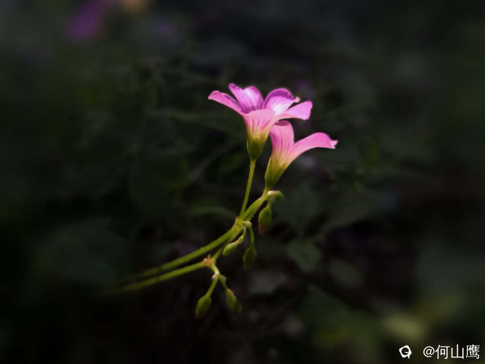 331f748a-025f-961d-61ed-b1ba7409b7f7.jpg