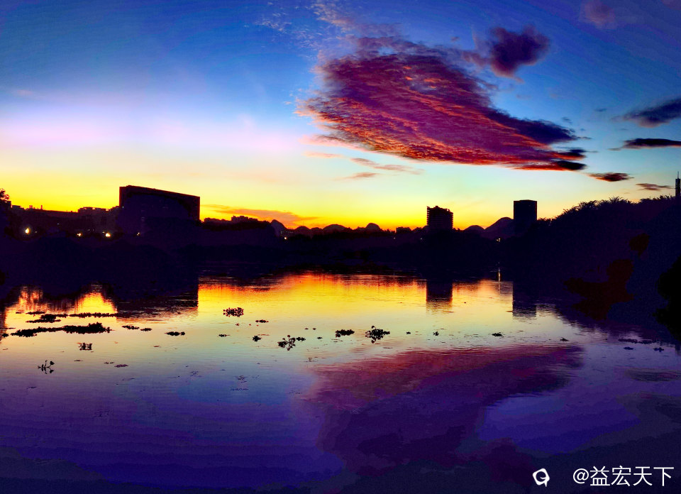 鱼跃水天