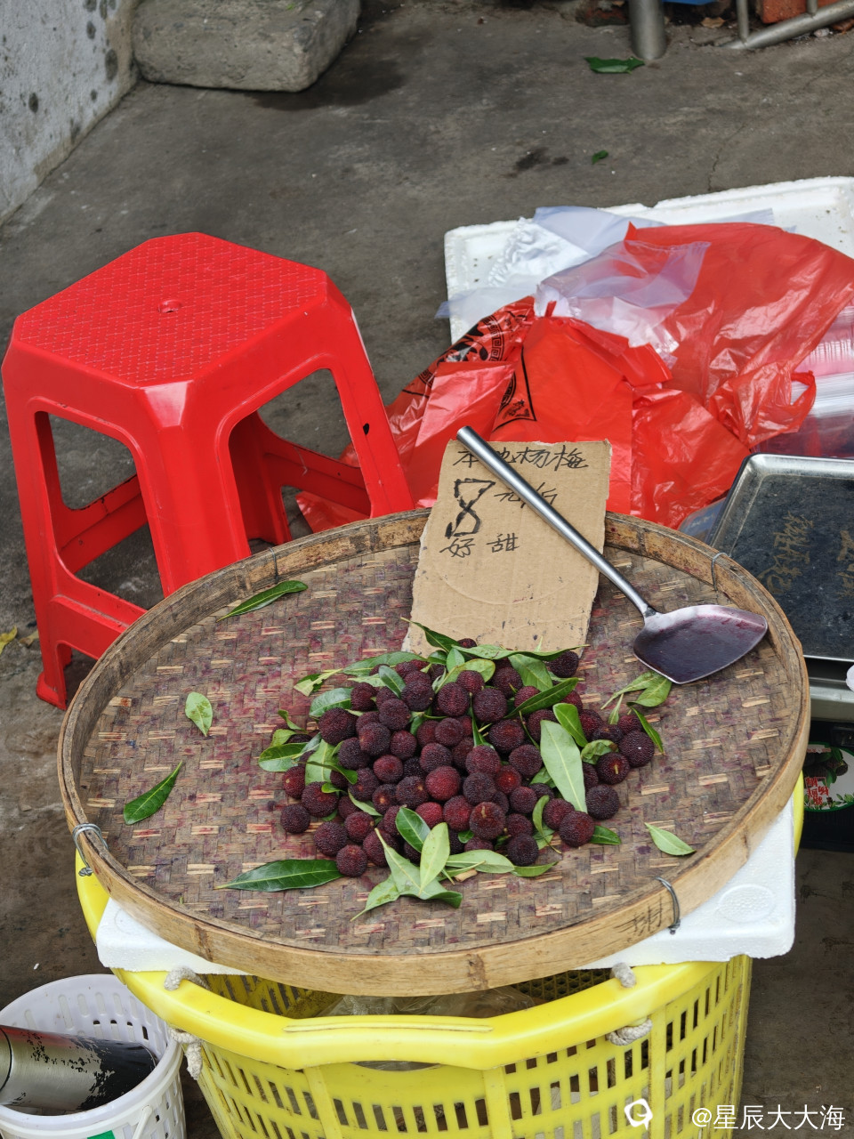 OLV_20260511154013.jpg