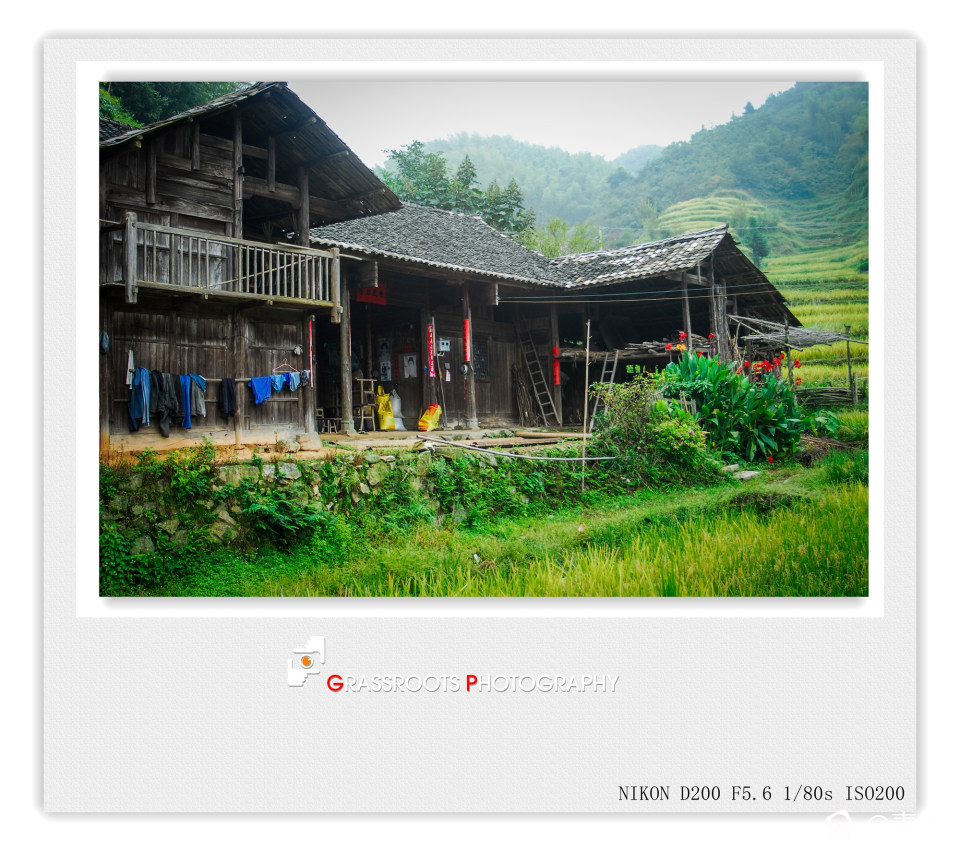 _DSC3690a_副本 - 副本.jpg