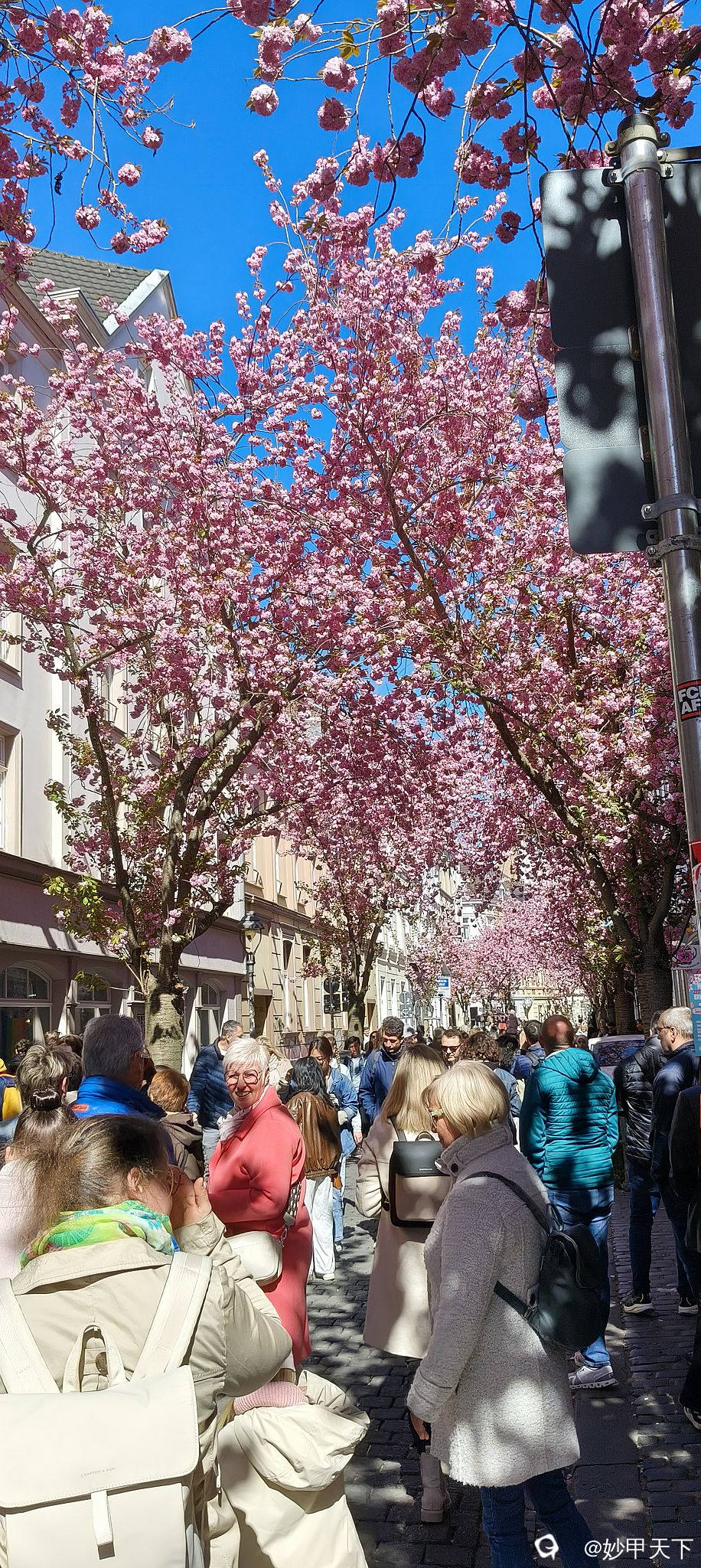 IMG20250406124406 (2).jpg