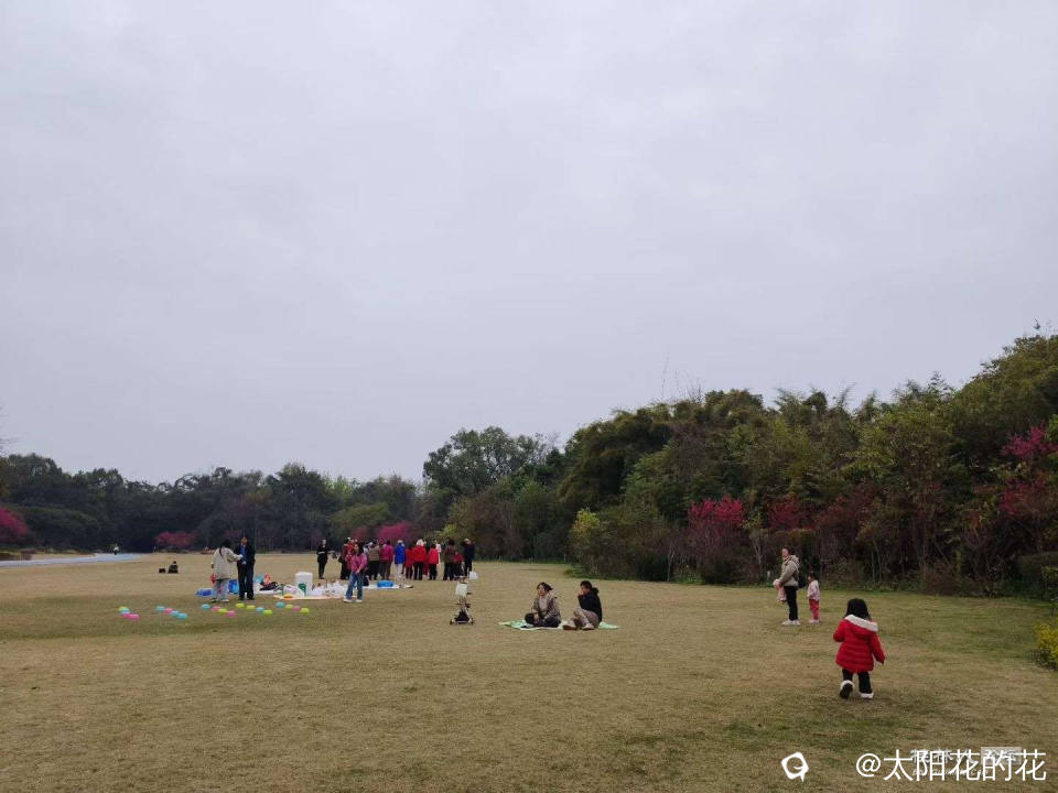 20260318105654front2_0_2265808_FulrW29Yzvcu5FZNt4bxzAvbTDw2.jpg