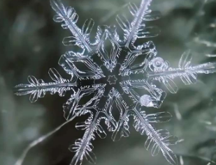 你見(jiàn)過(guò)雪花放大100倍的樣子嗎？