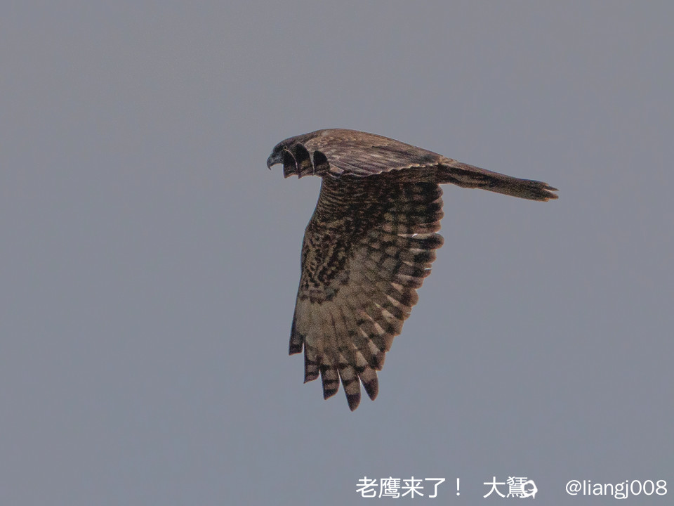 DSC07520_副本.jpg