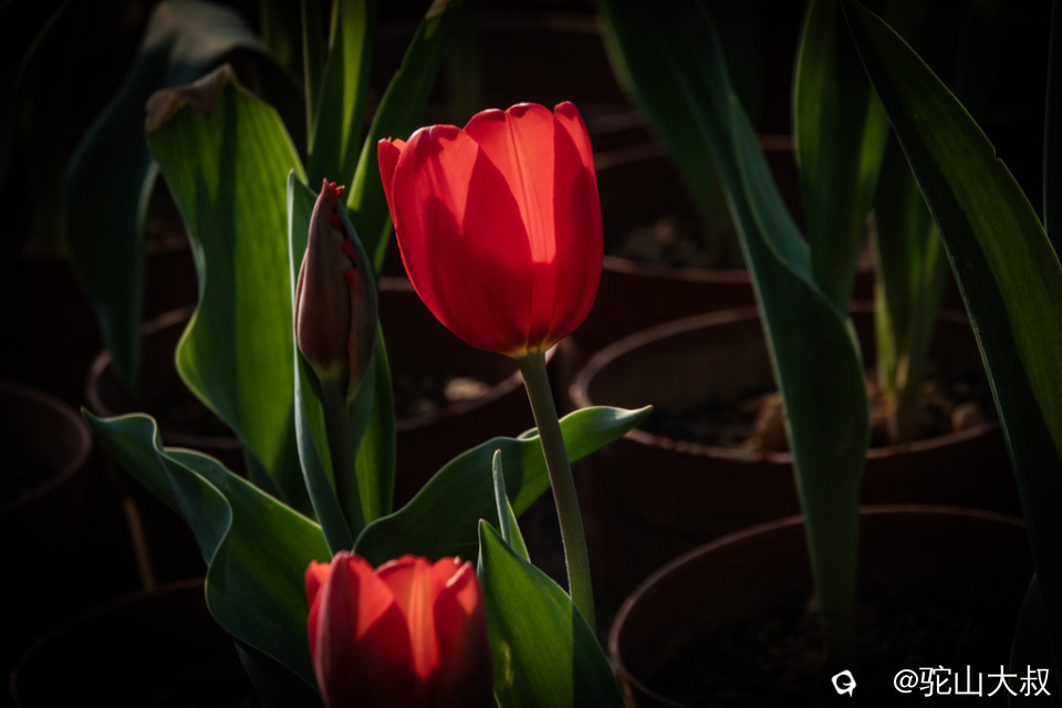 DSC05199-0 - 副本.jpg