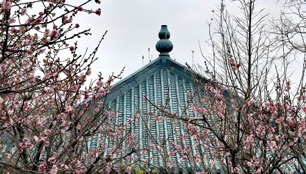 西山公園賞花：西山久冬殘，梅萼破春寒