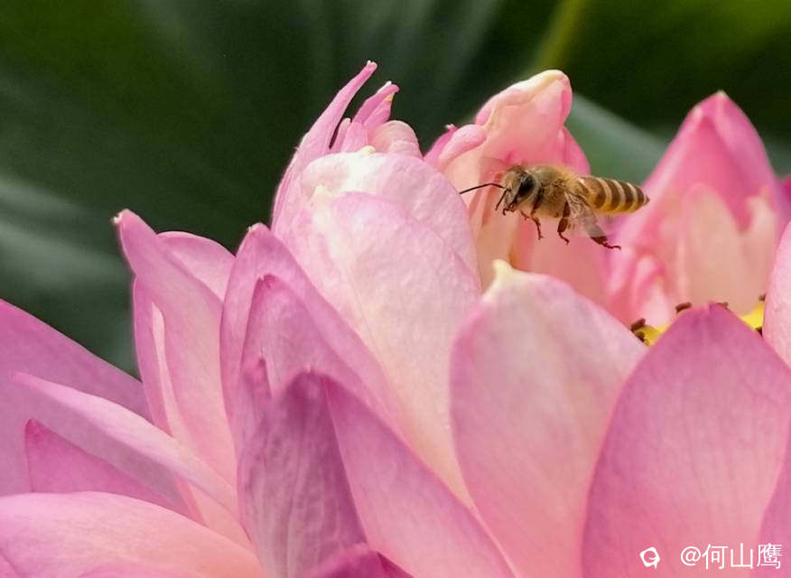 8fd6c861-4b73-c207-82c3-0bd7b02c8b7c.jpg