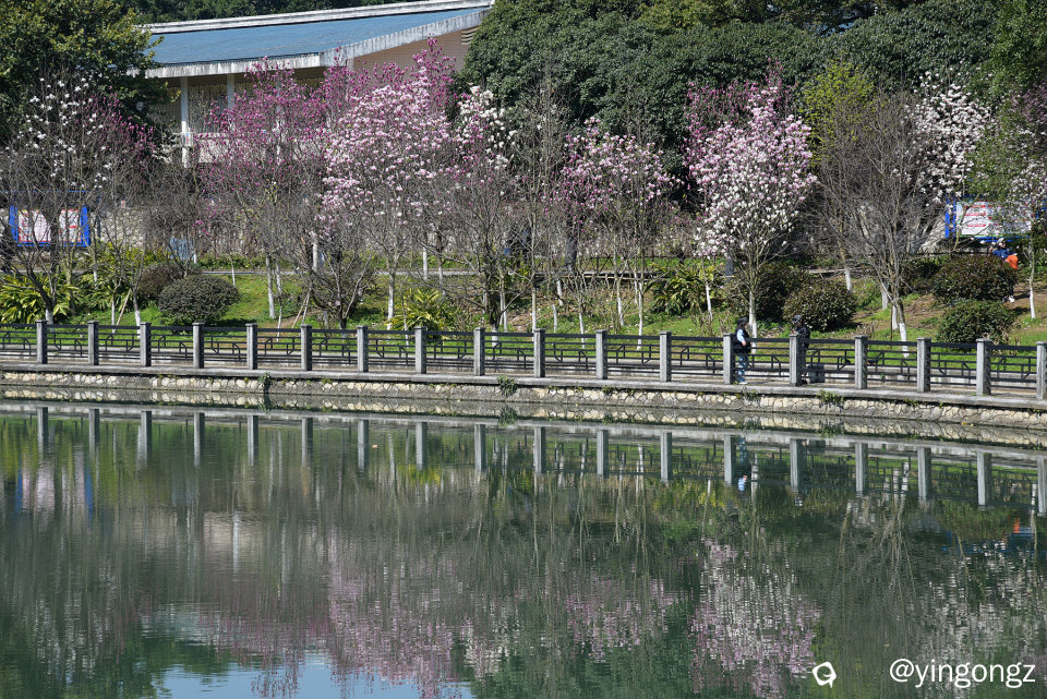 DSC_7174_副本.jpg