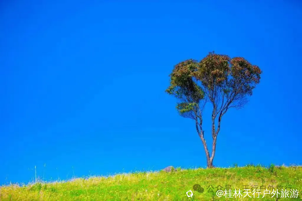 640 (1).webp.png
