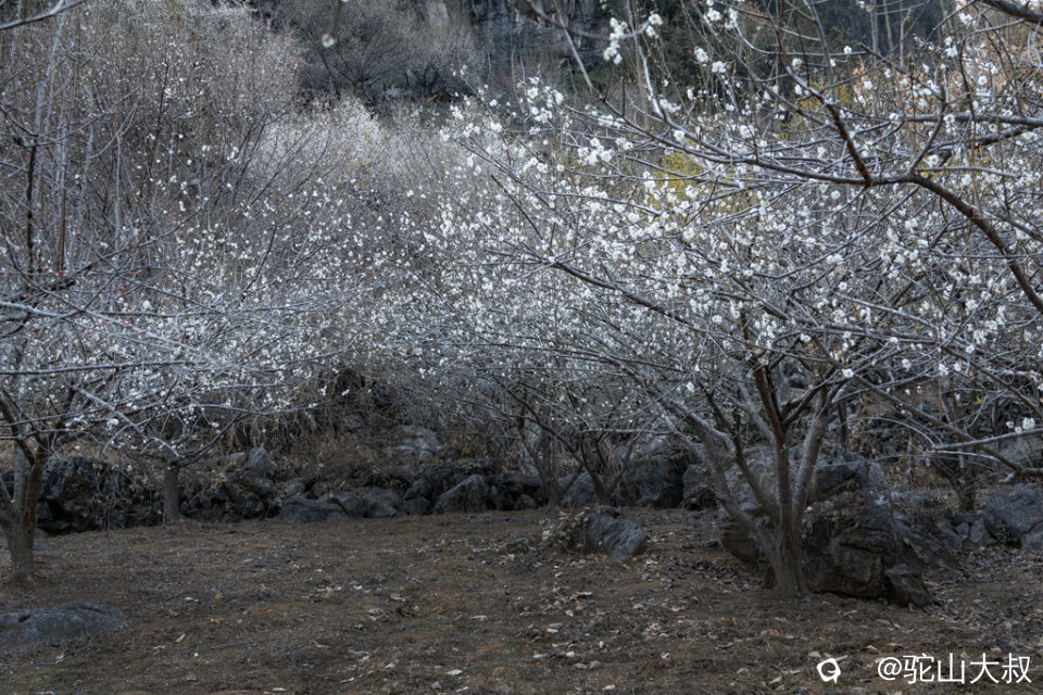 DSC04811-0 - 副本.jpg