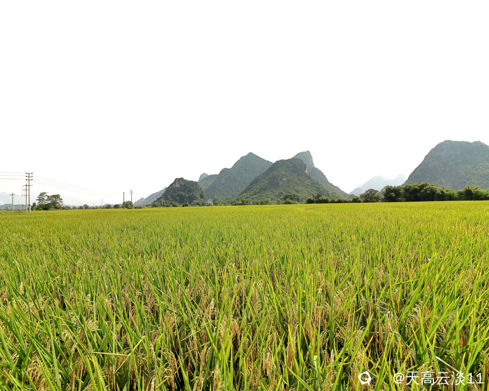 5D2A4844_副本.jpg