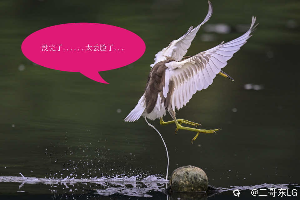 唉呀妈呀快闪开急急急 (5).jpg