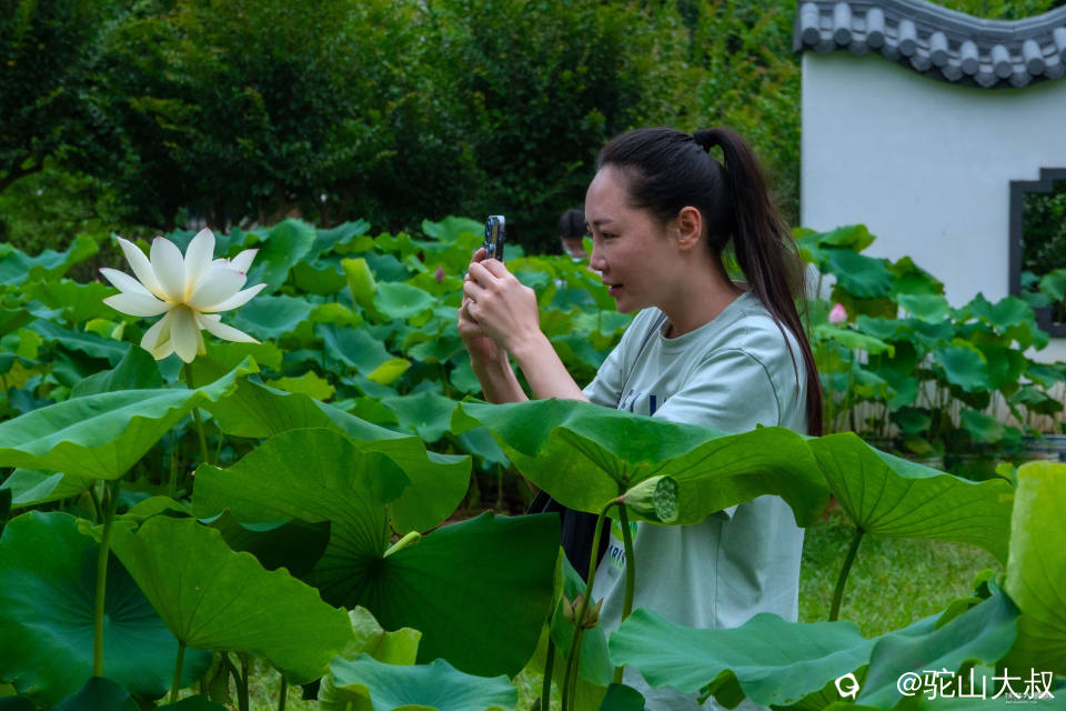 DSC08479-0_副本.jpg