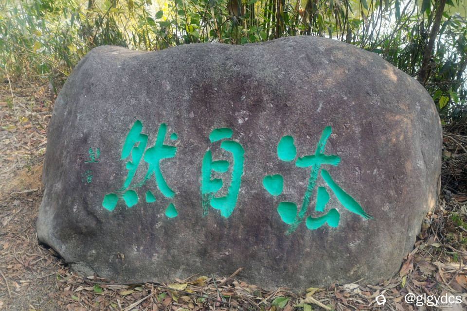 IMG_20241220_100145_副本.jpg