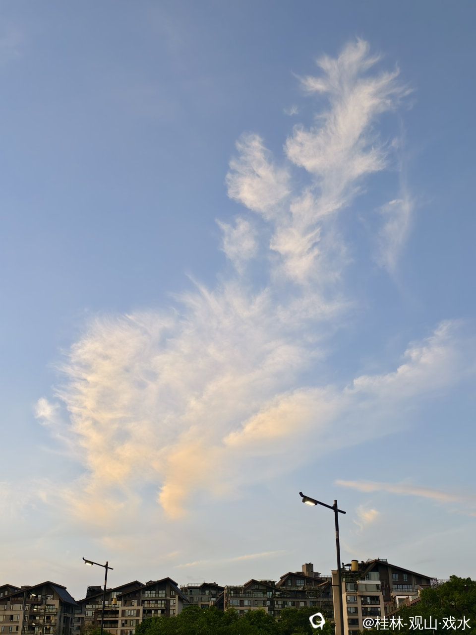 3be5ac0c-d992-1547-3ef2-c78883776d79.jpg
