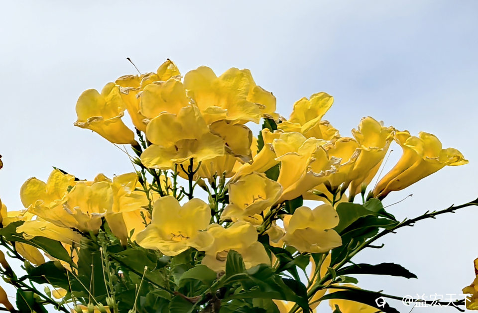 IMG_20261021_135759.jpg