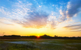 干涸池塘观斜阳