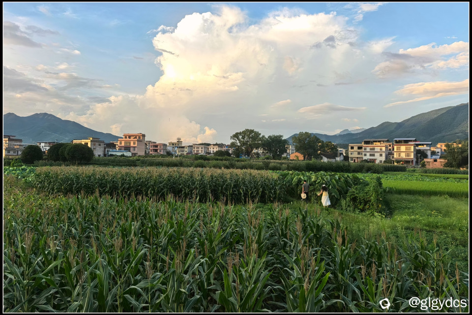IMG_20260709_190504_副本.jpg