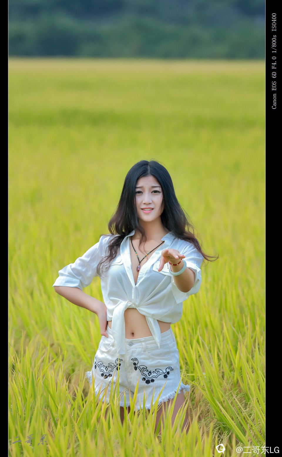 谷子熟了 (8).jpg