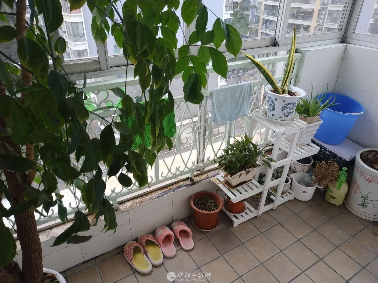 @����������԰��ʽ¥103ƽ �ͼҾ߼ҵ� 99��