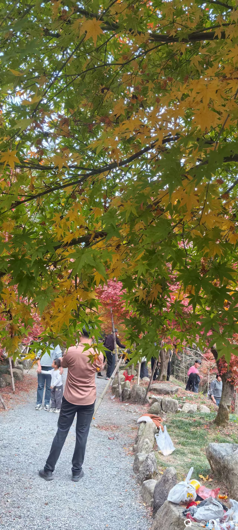微信图片_20251201160951_223_88.jpg