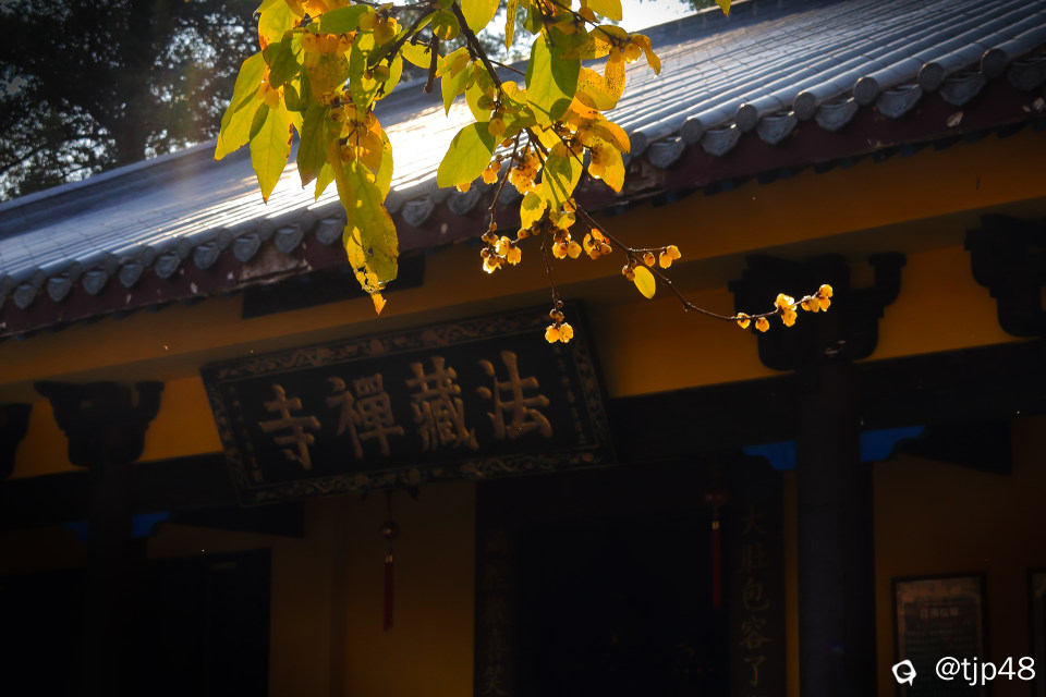 IMG_0905 拷贝.jpg