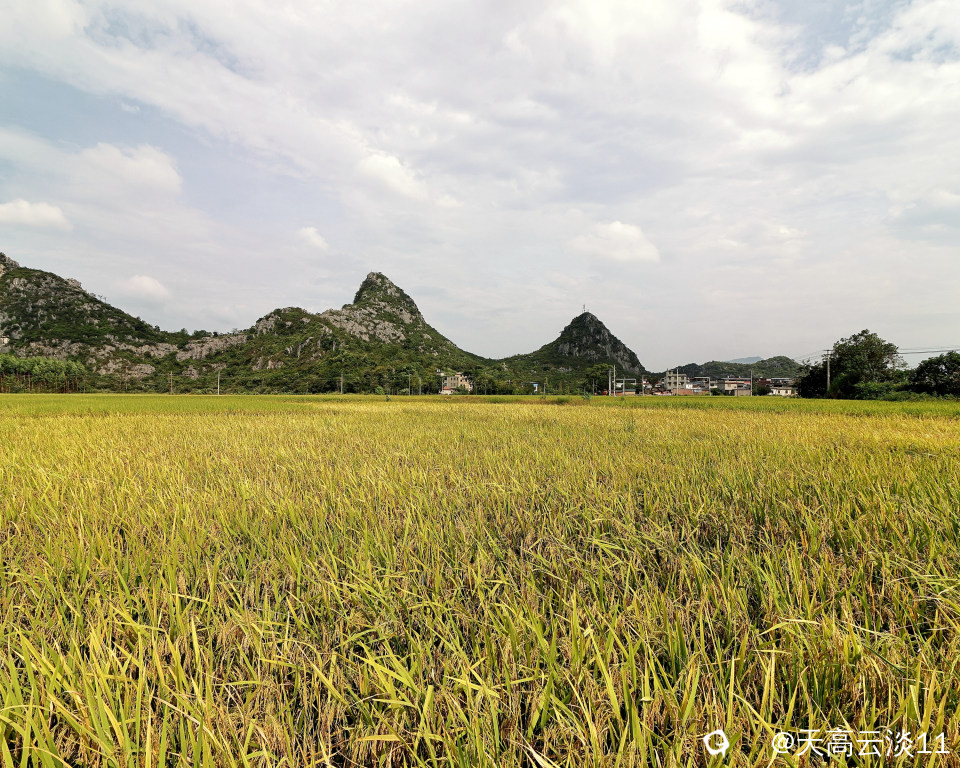 5D2A4839_副本.jpg