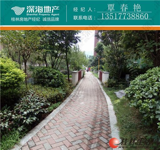 q41��Զ������3��122�O41��