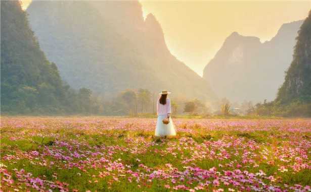 臨桂狀元橋格?；ㄈ讼?/>
                                <div   id=