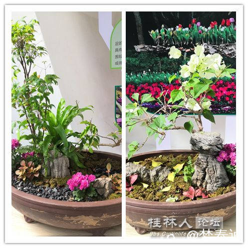 initpintu_副本1.jpg