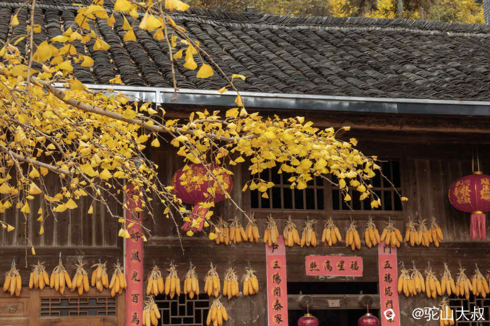 DSC04370-1 - 副本.jpg