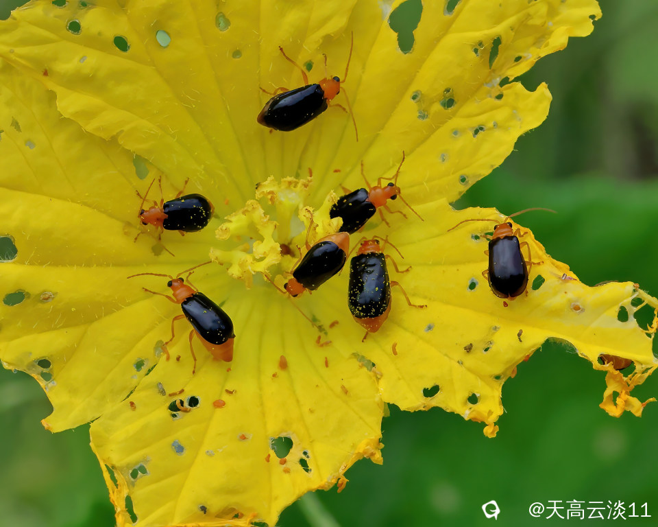 5D2A3771_副本-DeNoiseAI-denoise.jpg