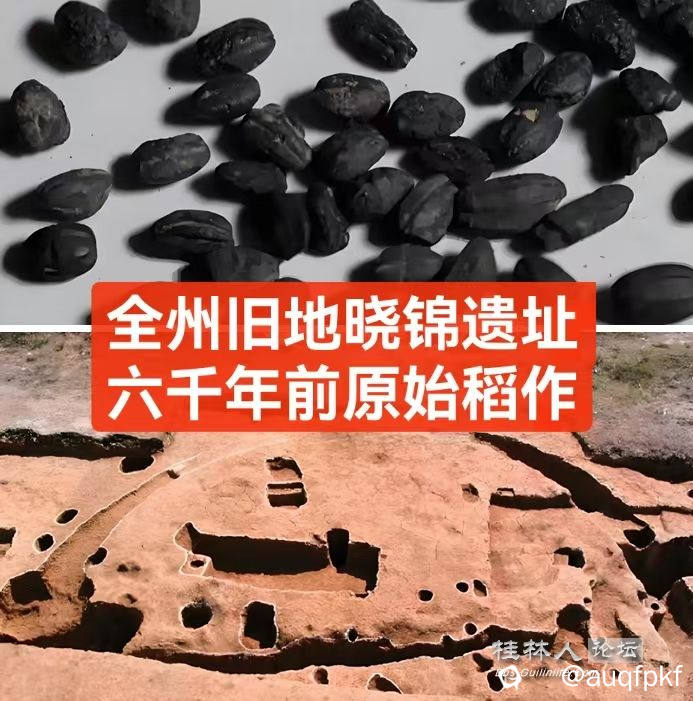 微信图片_20250604120037_702.jpg
