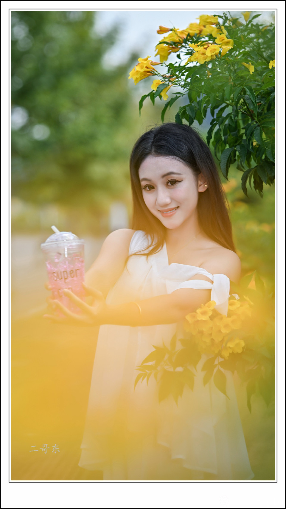 黄槐决明 (23).jpg