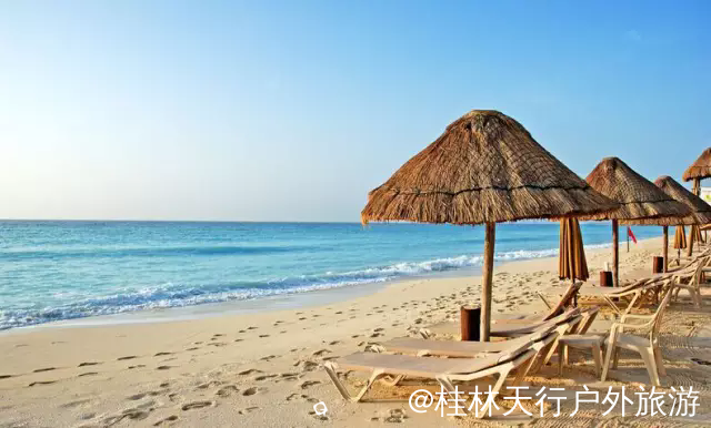 640.webp (5).png