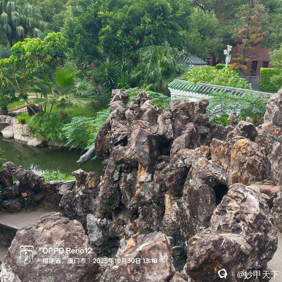 十二生肖中的蛇