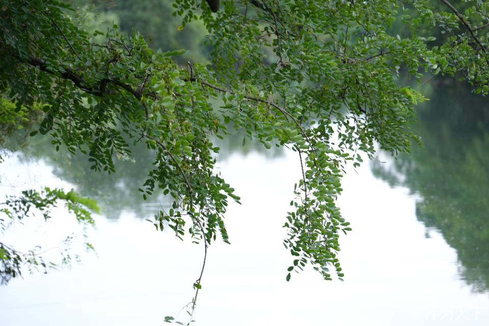2f310f97-d413-7605-ece0-76f3134c84ac.jpg