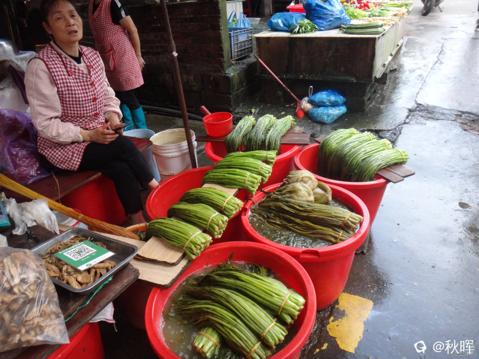 DSC08550.JPG