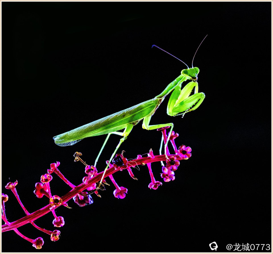 444215a6-8a78-87ce-d20f-c17bef676c0f.jpg