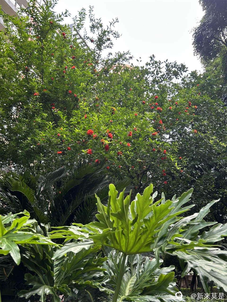 微信图片_20260513183337_301_289.jpg