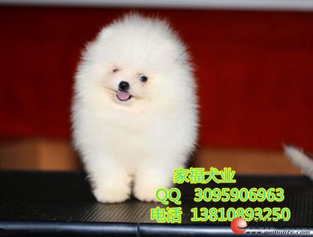 ����������Ȯ����Ǯ ���ֲ��� ���������� ǩ�ʱ�Э��