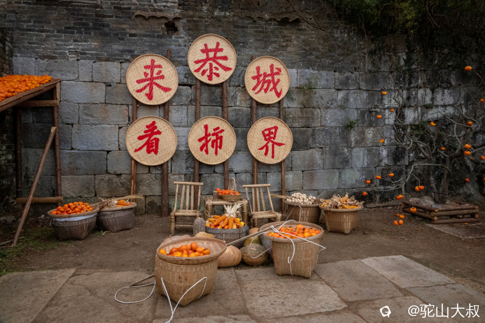 DSC09821-0 - 副本.jpg